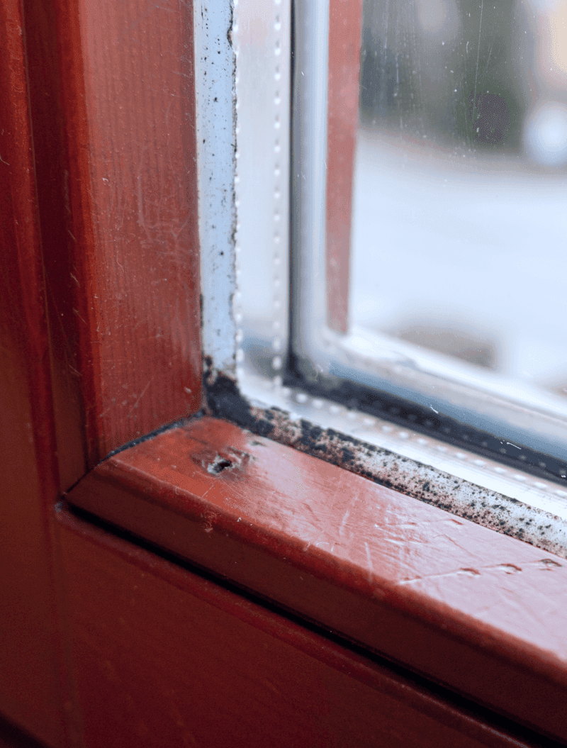 Servis plastových oken