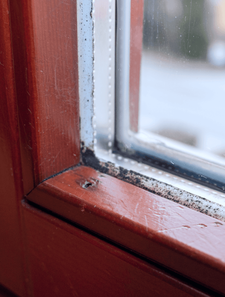 Servis plastových oken